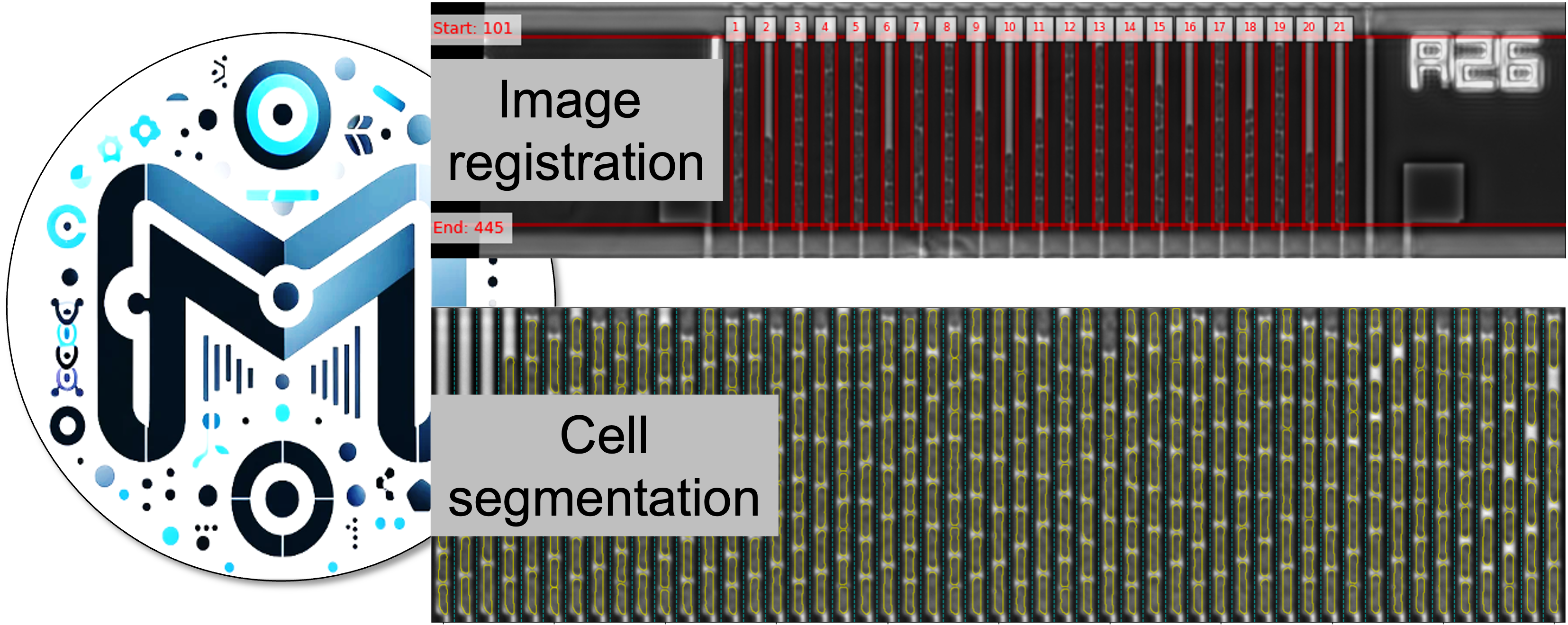 Diagram of the project work packages and their links.