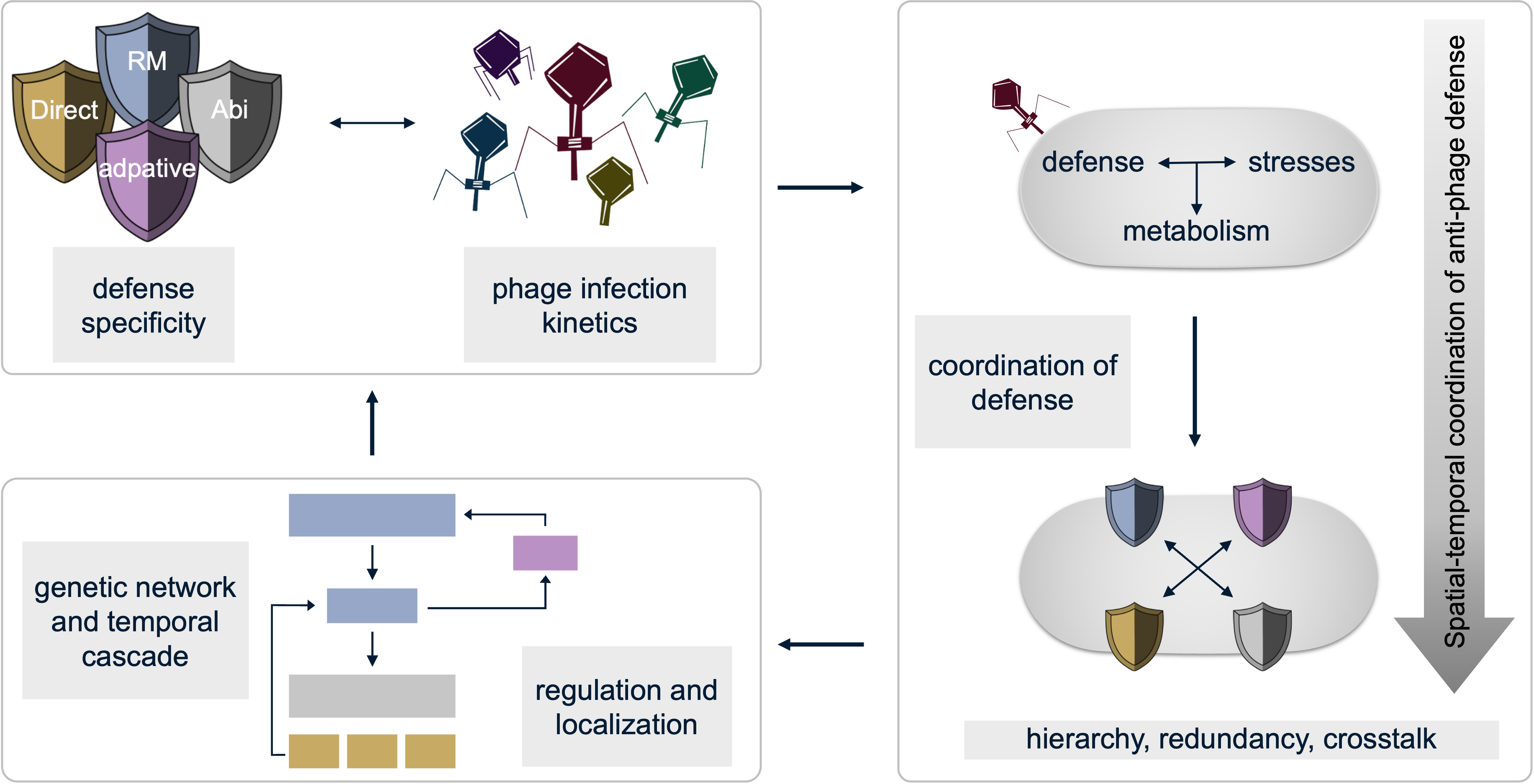 Diagram of the project work packages and their links.