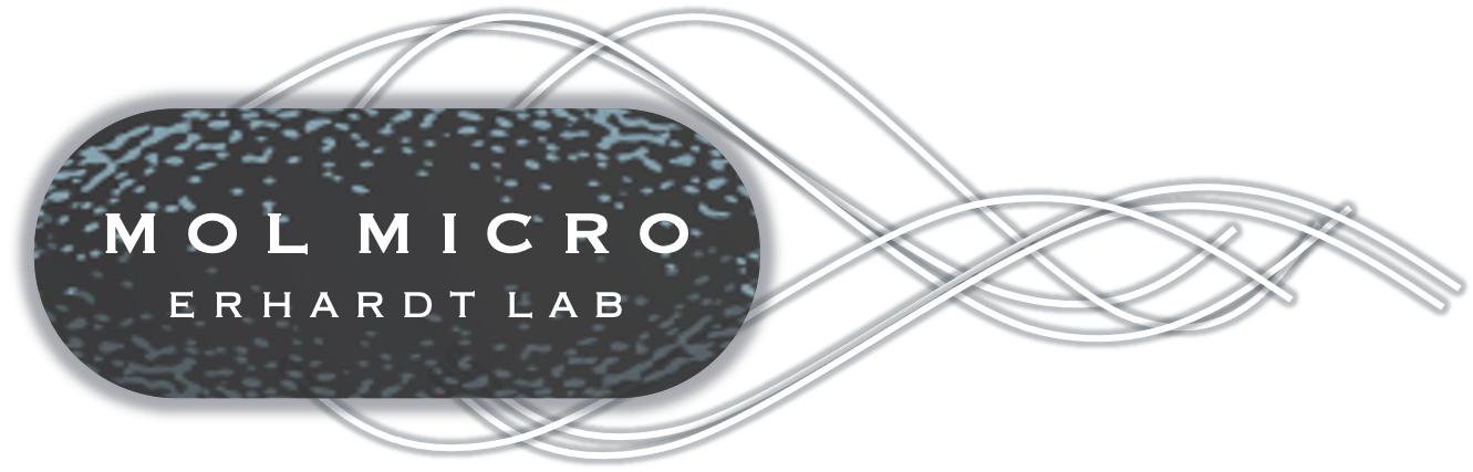 Lab Logo